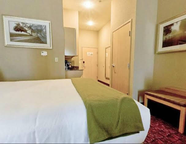 Holiday Inn Express Hotel And Suites Borger By Ihg Buitenkant foto